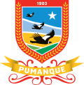 Escudo de Pumanque